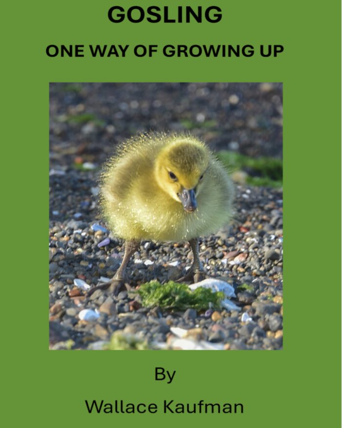 Gosling: A Story of Growing Up